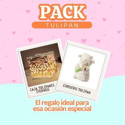 corderito de peluche y tulipan