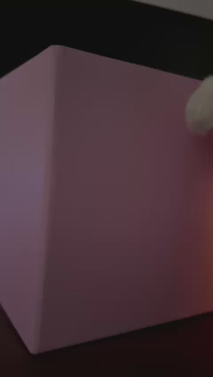 corderito de peluche y tulipan